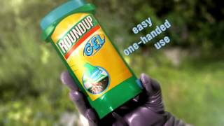 How To Use Roundup Gel  Video  Roundup Weedkiller [upl. by Lauder617]