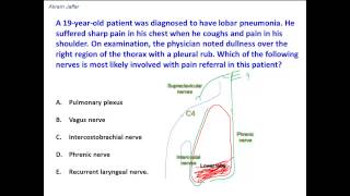 Anatomical basis of pleural referred pain [upl. by Dimmick]