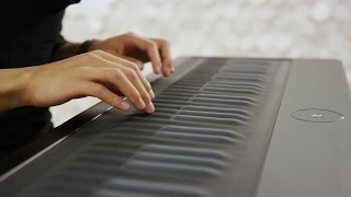 Multitrack Seaboard GRAND performance [upl. by Golightly]