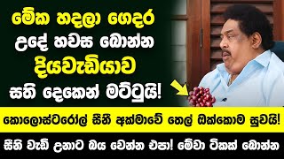 මේක හදලා ගෙදර උදේ හවස බොන්න  දියවැඩියාව කොලොස්ටරෝල් සීනී අක්මාවේ තෙල් සති දෙකෙන් සුව වෙනවා [upl. by Ariaet554]