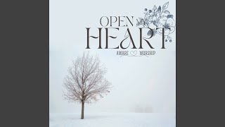 Open My Heart [upl. by Weylin]