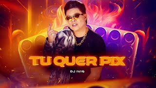 TU QUER PIX  Dj Ivis CD 1 do Deejay [upl. by Holcomb]