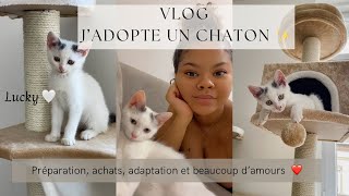 VLOG  Adoption chaton  préparation achats premier jour à la maison et mon avis 1 mois après [upl. by Shoshana]