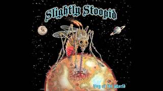 Deal With Rhythm  Slightly Stoopid Audio [upl. by Strohbehn]