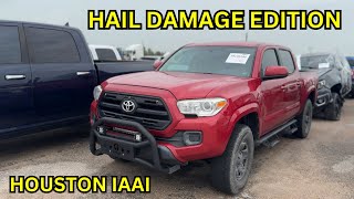 HOUSTON IAAI WALKAROUND HAIL DAMAGE EDITION [upl. by Oiuqise]