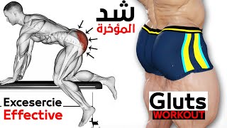 7 Best Exercise Glute Workout [upl. by Salakcin]