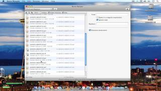 Name Mangler now paid app Batch file renamer app for the Mac [upl. by Gibun75]
