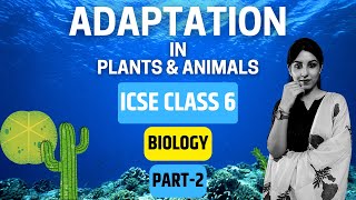 Adaptation in Plants amp Animals  ICSE CLASS 6 BIOLOGY  PART2 [upl. by Shetrit]