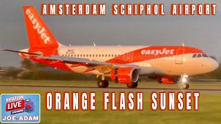 Amsterdam Schiphol Airport Live Monday 04292024 [upl. by Aliuqa62]