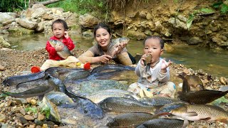 Encounter a huge school of fish  catch fish and trap fish on a rainy day  make smoked fish [upl. by Ymmik]