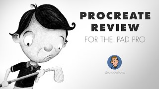 Review Procreate for the iPad [upl. by Damales]