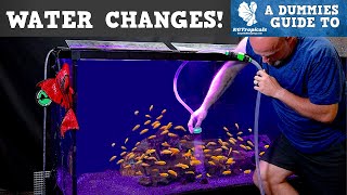 Why How Much and How Often Should You Do Water Changes In An Aquarium [upl. by Bord96]