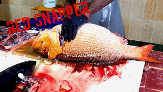 The Ultimate Guide to Filleting Red Snapper Special [upl. by Lougheed398]