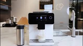 FISHIN COFFEE Fully Automatic Espresso Machine [upl. by Aihtnamas]