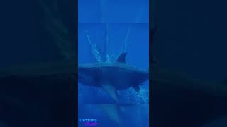 Godzilla Goes Megalodon Dive Fishing Underwater DazzlingDivine [upl. by Moriah462]