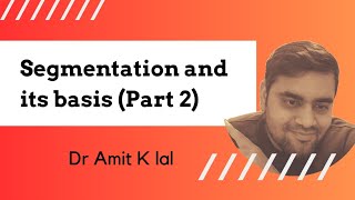 Segmentation and its basis Part 2  psychographic  Behavioral  Vals Framework [upl. by Aneeroc]