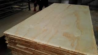 Chinese triplay Pine plywood to Mexico and USA [upl. by Ondrej232]