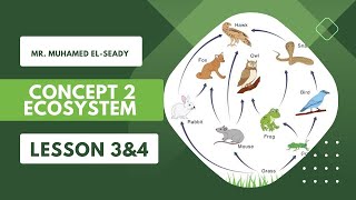 Energy flow in ecosystems Grade 5  Unit 1  Concept 2  Lesson 3amp4   Science [upl. by Valley]