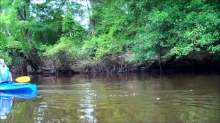 Paddling the Blackwater River [upl. by Nennarb]