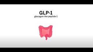 Role of GLP1 Receptor Agonists for Weight Loss [upl. by Auhsohey]