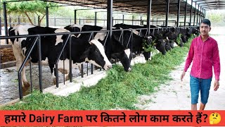 डेयरी फार्म पर लेबर की समस्या dairy farm labour [upl. by Cowles447]