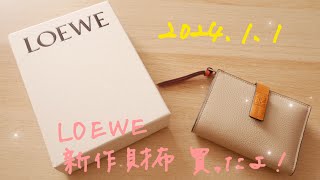 P1 LOEWE新作財布買ったよ！ [upl. by Alben25]