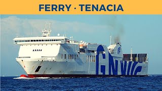 Arrival of ferry TENACIA Olbia GNV [upl. by Garvy]