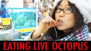 Eating Live Octopus at Noryangjin Fish Market KWOW 136 [upl. by Griffy]