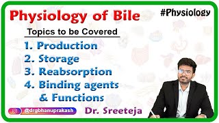 Physiology of Bile  Production Storage Reabsorption Binding agents and Functions  Usmle Step 1 [upl. by Ayekat]