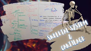 Introduction to Skeletal System amp Cartilage شرح بالعربى [upl. by Rramel]