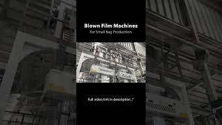 Blown Film Machines for Small Plastic Bag Production [upl. by Carnay247]