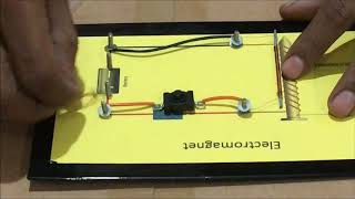 Electromagnet Showing With Nails  Science Project kit Do it Yourself Kit [upl. by Esinwahs268]