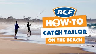 How to Catch Tailor  Beach Fishing [upl. by Zeuqcaj]