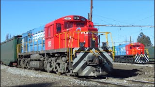 FEPASA CHILE CARGANDO CELULOSA EN ESTACIÓN SAN JAVIER [upl. by Fiedler]