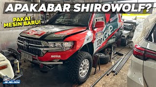 INILAH MODIFIKASI BARU LAND CRUISER 200 SHIROWOLF SEBELUM AXCR 2024 [upl. by Kayla]