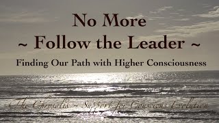 No More Follow the Leader  Finding Our Path with Higher Consciousness [upl. by Dabbs]