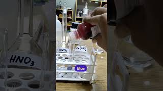 How does the litmus solution change its colour in acids and bases acidsbases experiment science [upl. by Anneres356]