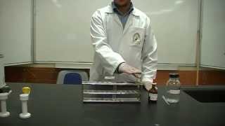 Nitroprussides test Part 2 Identification of Amino Acids Cysteine or Cystine [upl. by Samuella227]