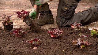 Jubilerend hoveniersbedrijf verrast gezin in Heusden met nieuwe tuin [upl. by Nancie]