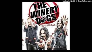 The Winery Dogs  Fire [upl. by Turrell]