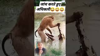 दम है तो हसी रोक के दिखाओ 🤣😂 youtubeshorts  funnyshorts comedyshorts funnyshort funnyvideo [upl. by Tigdirb477]