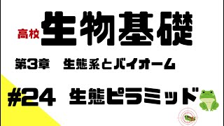 【生物基礎】24 生態ピラミッド [upl. by Yarb]