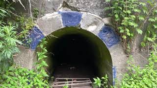 Erie Canal lock 62 Ruins in Pittsford New York [upl. by Hogg573]