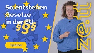 So entstehen Gesetze in der Europäischen Union [upl. by Ravel]