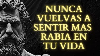 Nunca te enojarás más después de escuchar esta medicina de frases ESTOICAS sobre la ira  Estoicismo [upl. by Herrle]