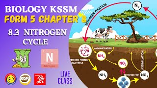 83 NITROGEN CYCLE [upl. by Eon938]