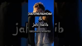 на параллельном пути jah halib😍 [upl. by Christal938]