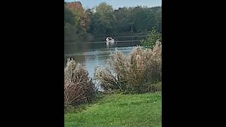 Netting at Baden Hall fishery Middle Pool [upl. by Chute]