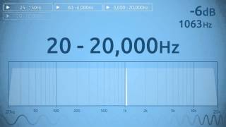 20  20000 Hz Audio Sweep  Range of Human Hearing [upl. by Patrizius]