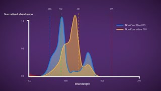 NovaFluor Dyes for Flow Cytometry [upl. by Anaiviv]